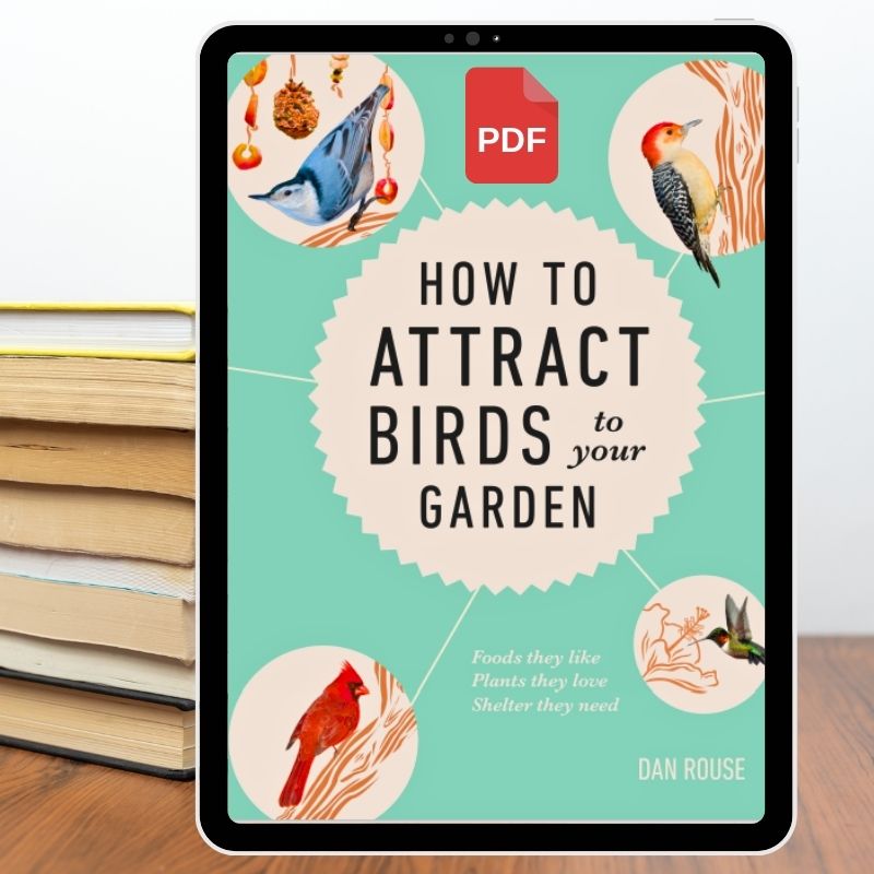 Ebook Bird Cover