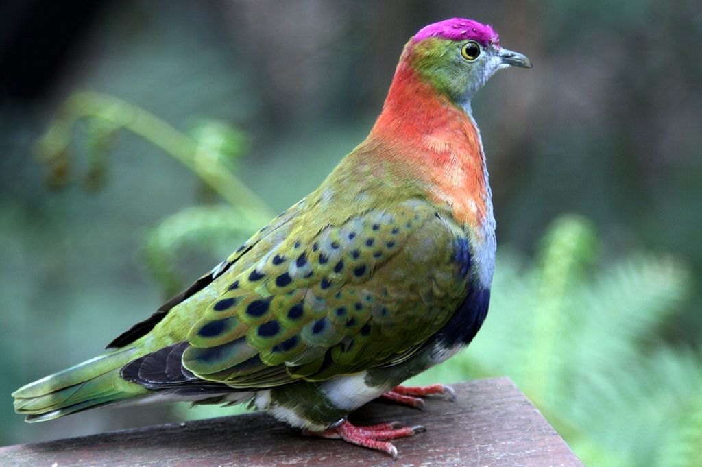 74076df6d547be7e240e229345d8d625