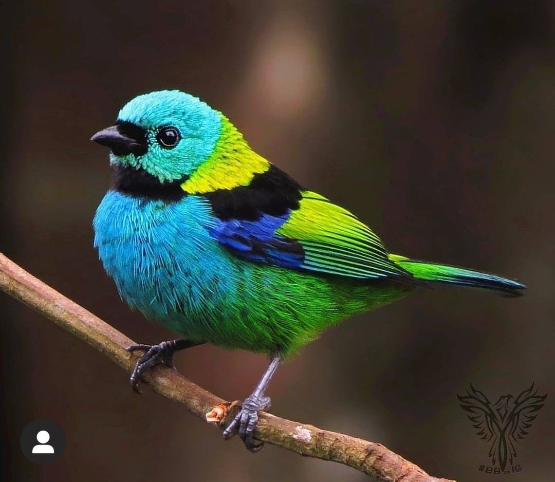 8875ce1994a6a6c5f64b5f295ab0f168